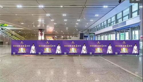 新疆真駝奶 那拉集團(tuán)搭乘中國(guó)速度,迸發(fā)品牌強(qiáng)音